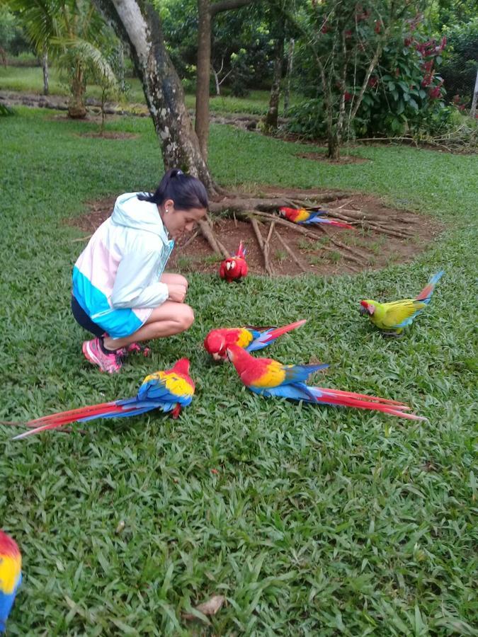 Hostel Orozco - Costa Rica Río Cuarto المظهر الخارجي الصورة