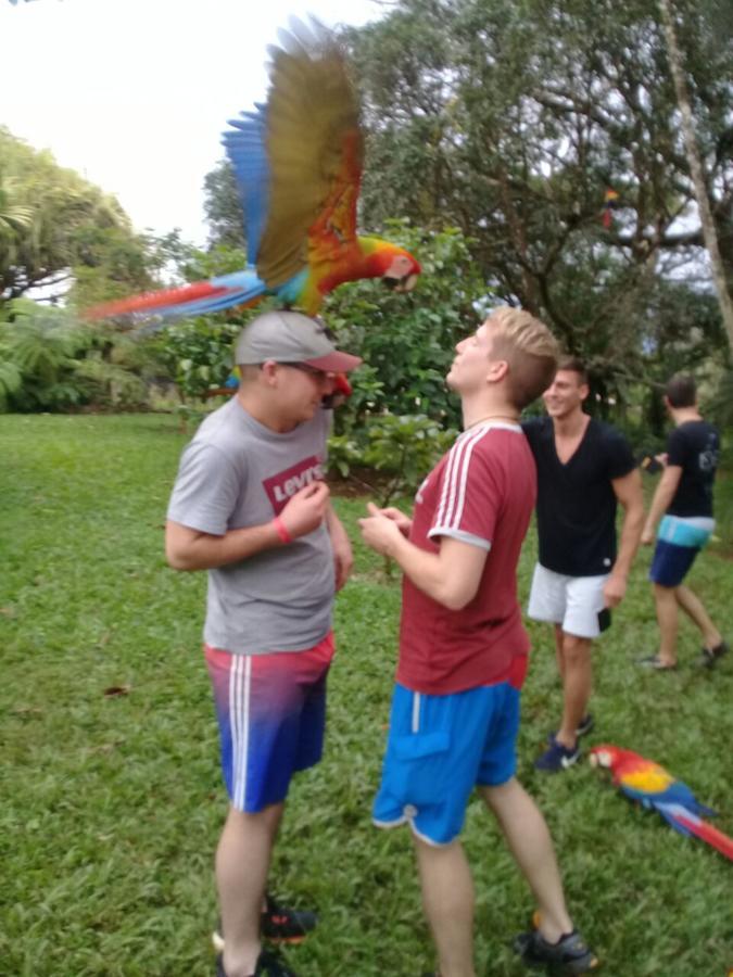 Hostel Orozco - Costa Rica Río Cuarto المظهر الخارجي الصورة