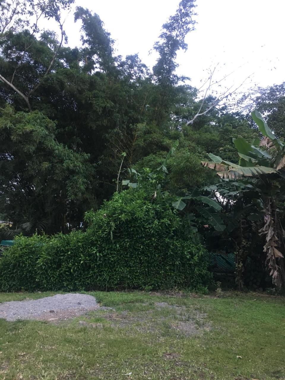 Hostel Orozco - Costa Rica Río Cuarto المظهر الخارجي الصورة